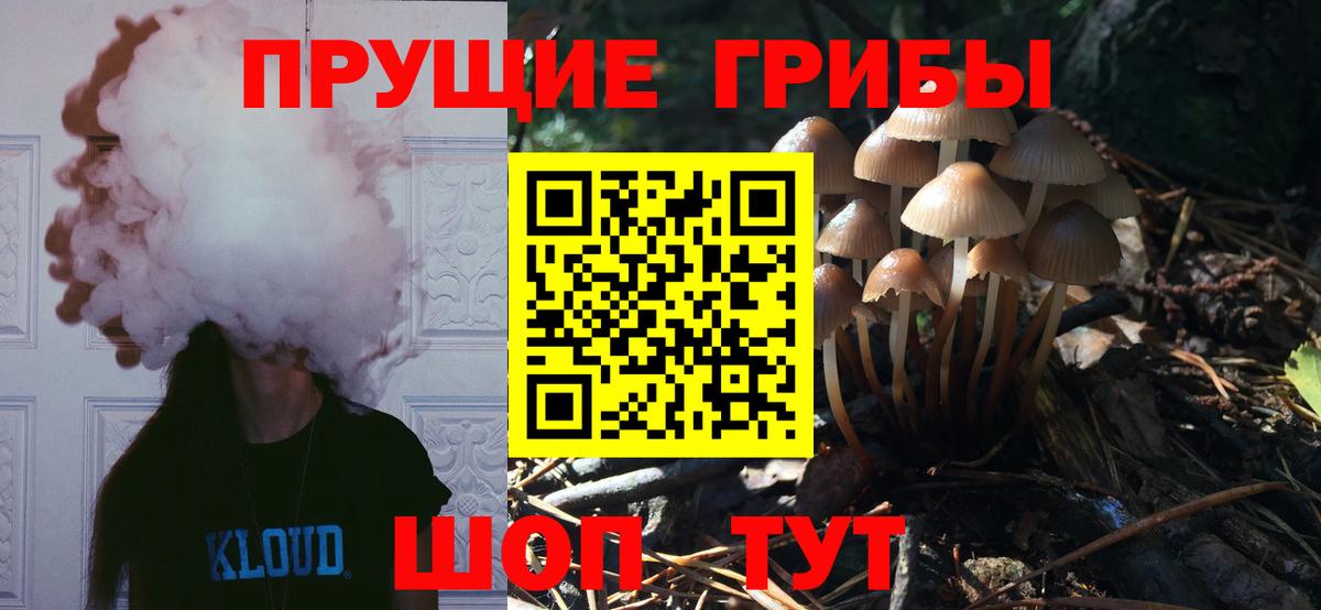 Псилоцибиновые грибы Psilocybine cubensis  Вход с VPN  Псилоцибиновые грибы GOLDEN TEACHER  Дубна 